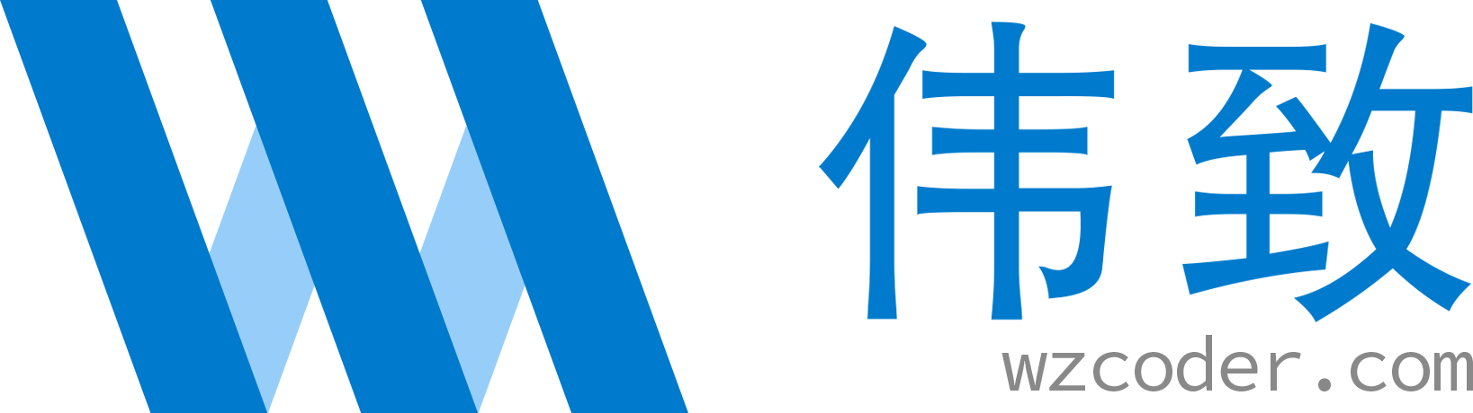 伟致信息